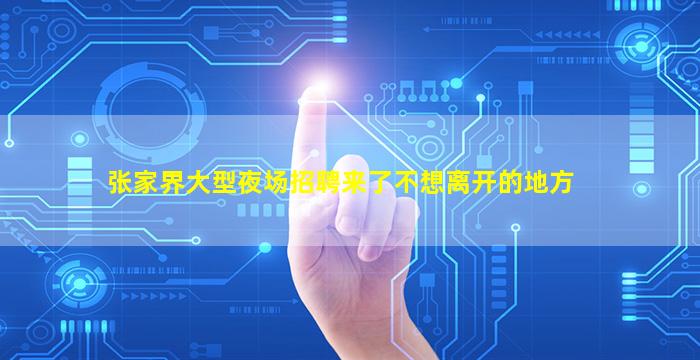 张家界大型夜场招聘来了不想离开的地方